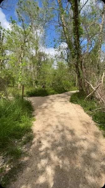 A quiet gravel trail winding through Bentsen's thorn forest habitat